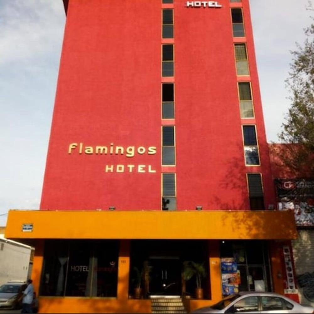 Hotel Flamingos Guadalajara Exterior foto